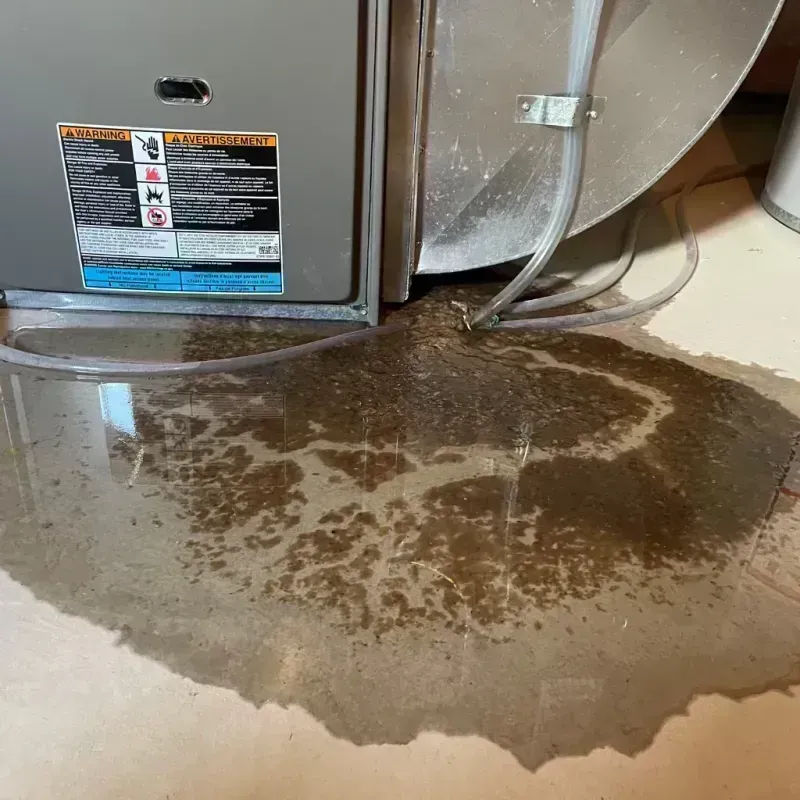 Appliance Leak Cleanup in Reeves County, TX